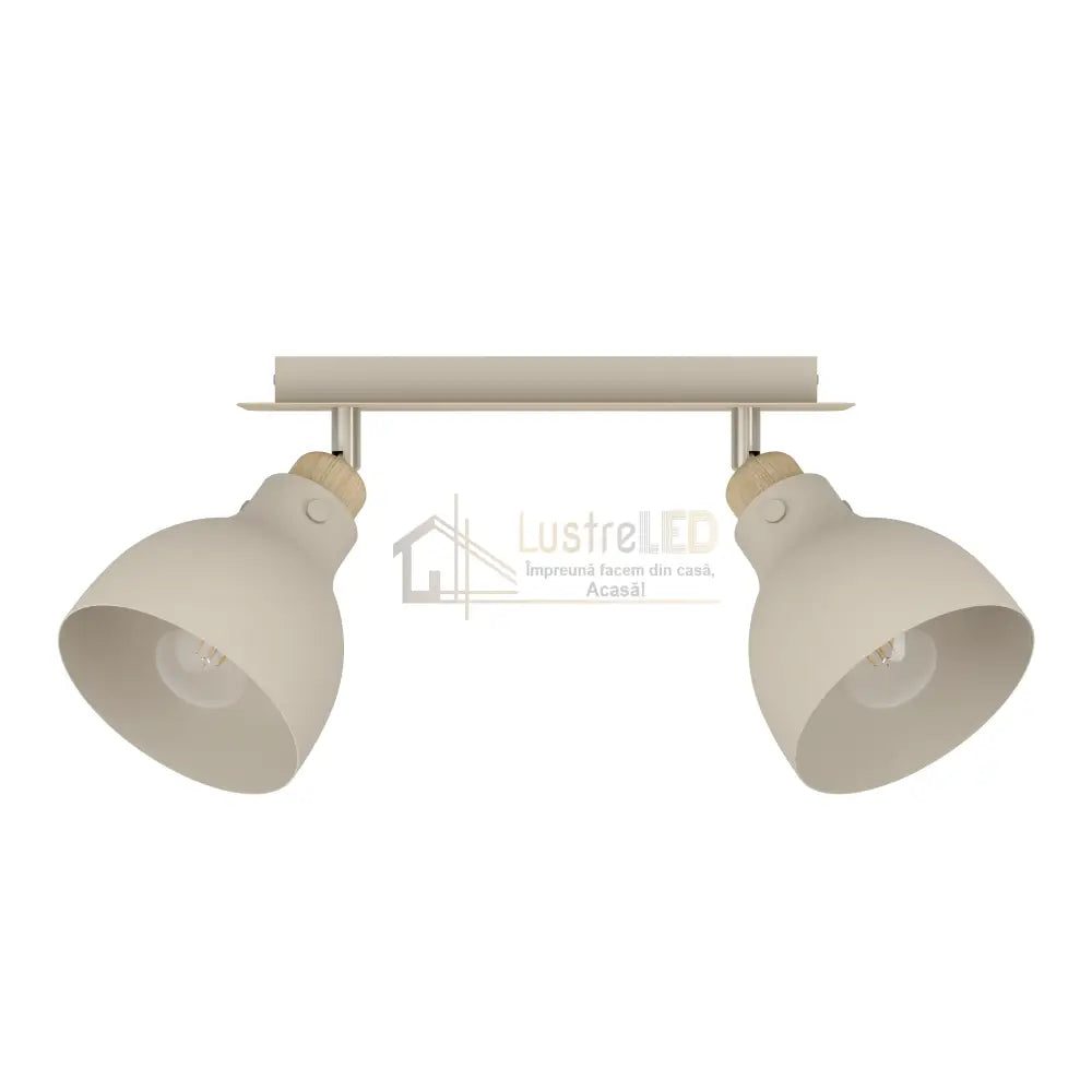Lustra cu 2 Spoturi ARRECIFE Brown & Silver Chandeliers
