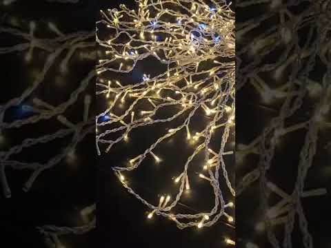 Încarcă videoclipul: