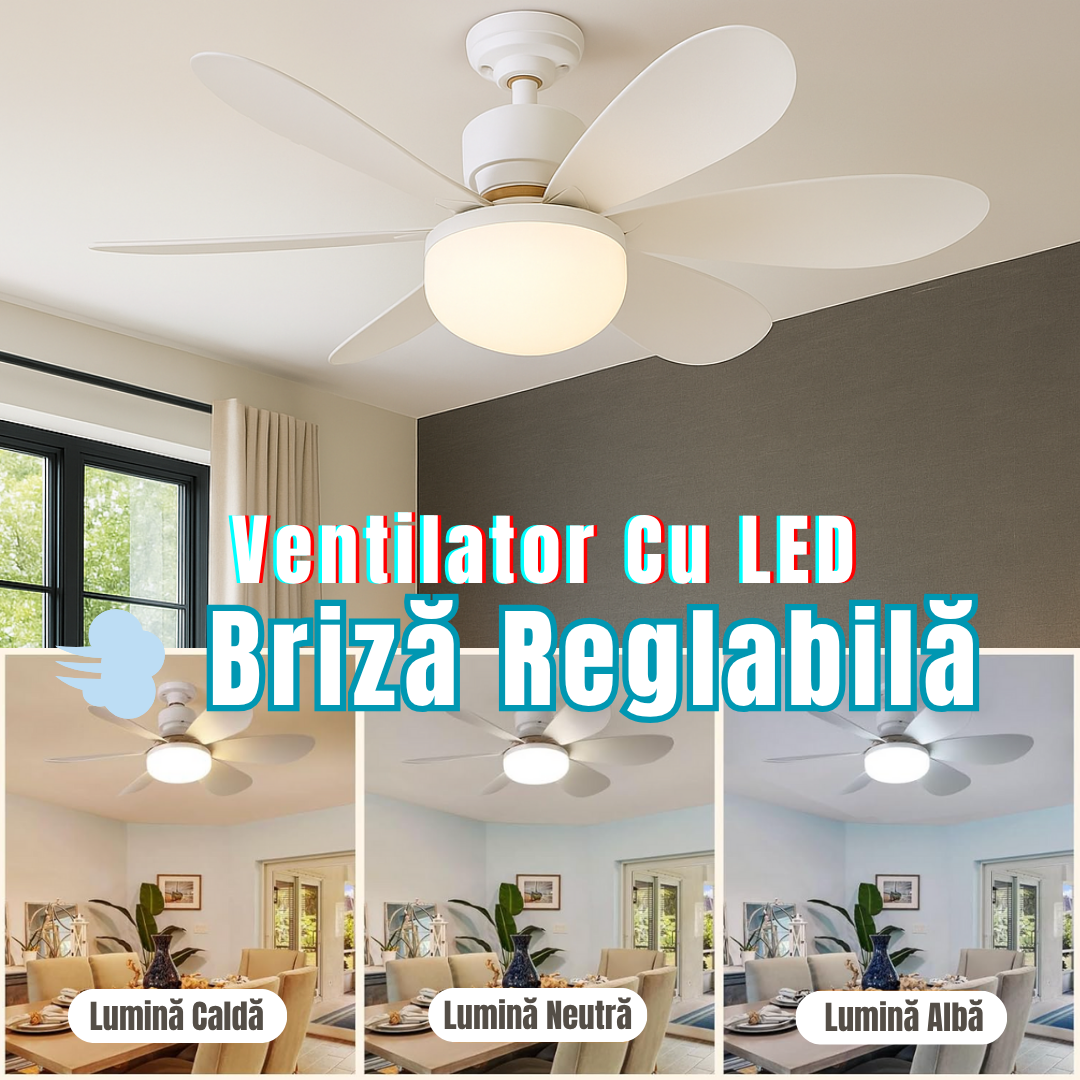 Ventilator Cu BEC LED + telecomanda💫 ALBA / VENTILATOR Lighting Fixtures