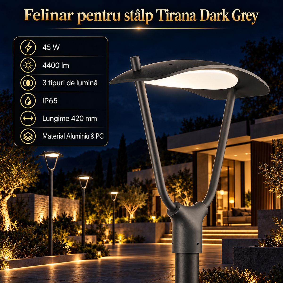 Felinar LED pentru Stalp Tirana Dark Grey IP65 Echivalent 450W