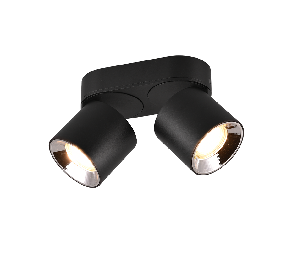 Spot Aplicat Orientabil Dreptunghiular Negru Dulie 2xGU10 L18 x H12CM