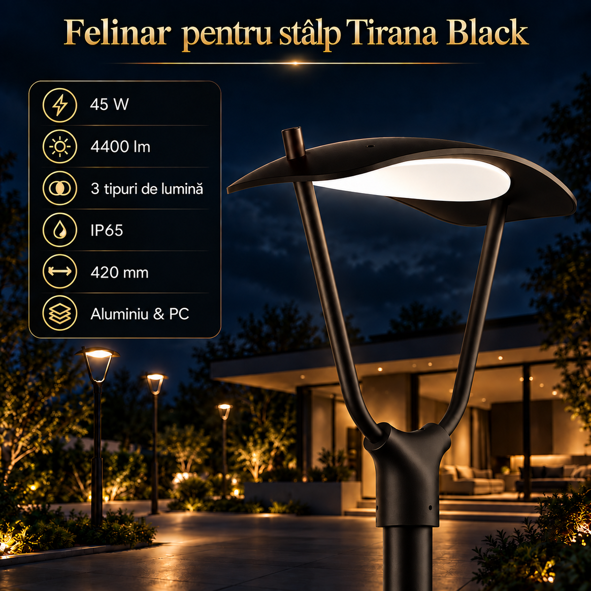Felinar LED pentru Stalp Tirana Black IP65 Echivalent 450W