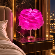 Veioza Neoclasica Nordic Style Feather Pink