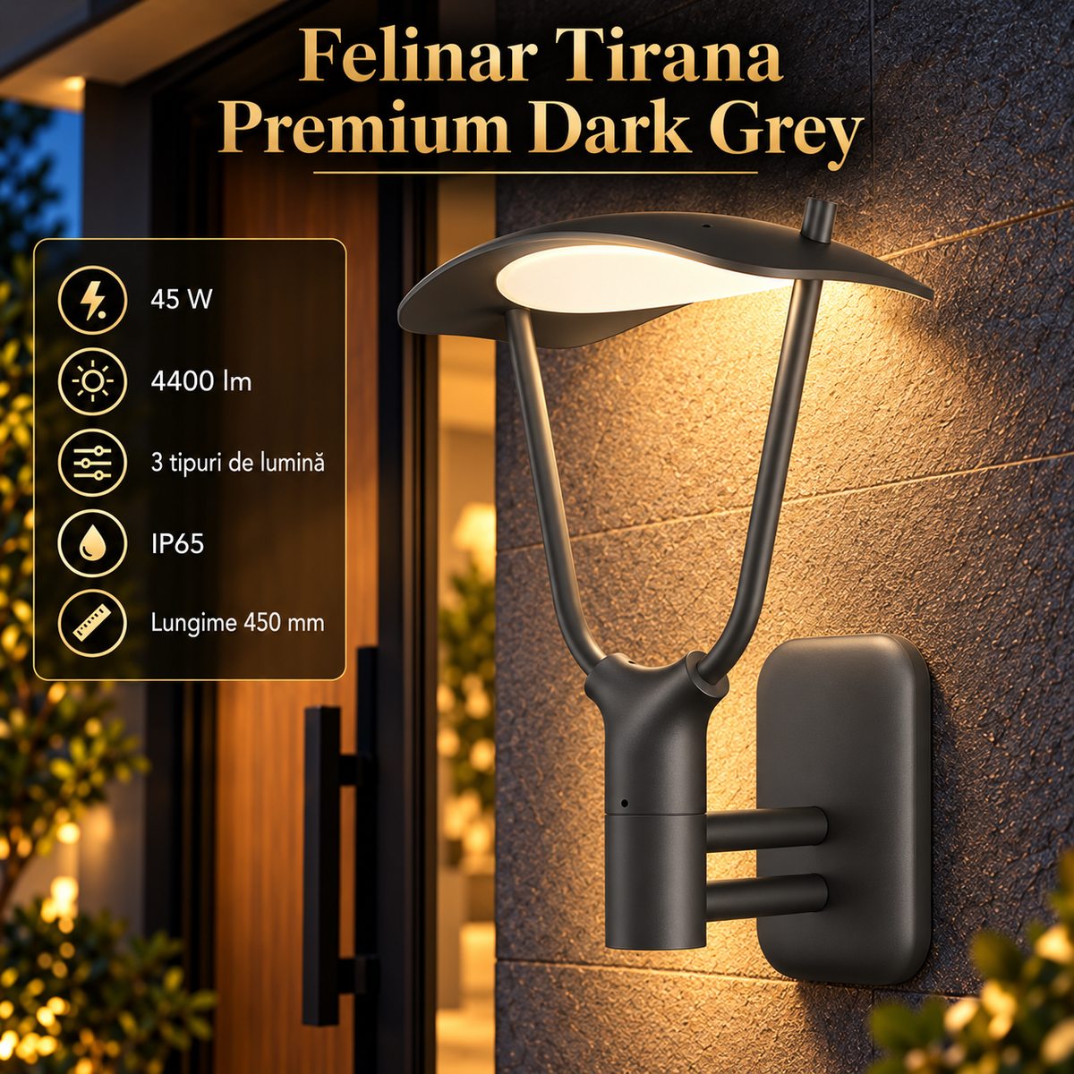 Aplica LED Exterior Tip Felinar Tirana Dark Grey IP65