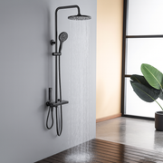 Coloana de Dus Premium 4 Moduri de Pulverizare Negru Inox