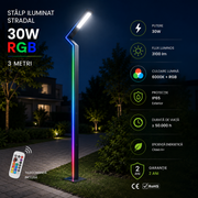 Stalp Iluminat Stradal 30W RGB Telecomanda 3m