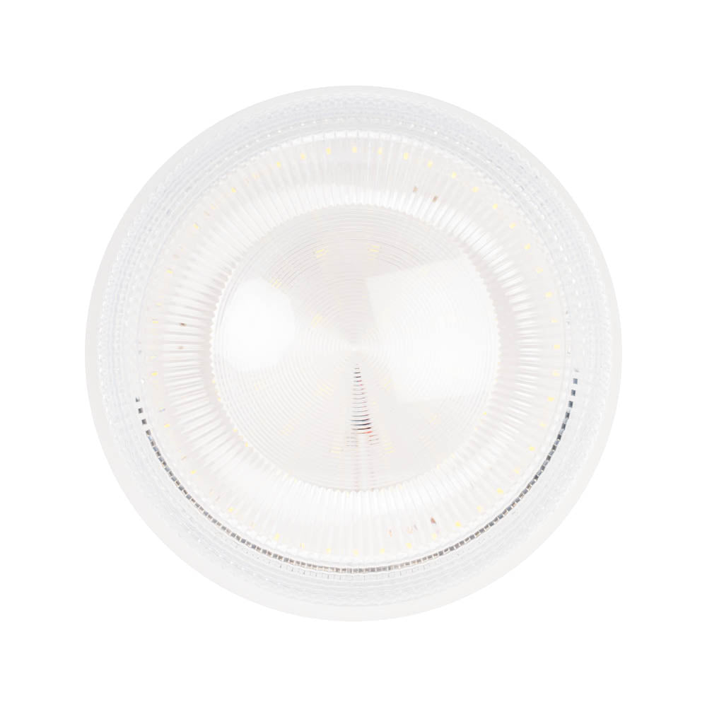 Plafoniera LED 25W GLYNT Exterior IP44