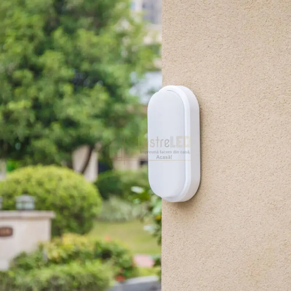 Aplica Led 12W Ovala Bat Alba Exterior Wall Light Fixtures