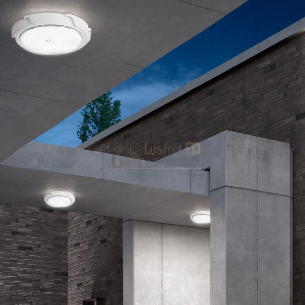 Aplica LED Exterior Trio 8W Solara (Copy) lustreled.ro