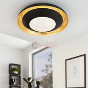 Aplica/Plafonieră LED Premium CANICOSA 2 Round 49.5CM Telecomanda led ceiling light