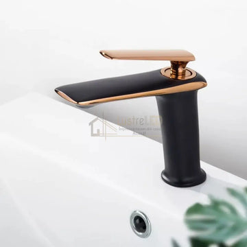 Baterie Lavoar Medie Luxury Line Rose Black 003