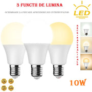 Bec LED E27 10W 3 Functii Glob Mat