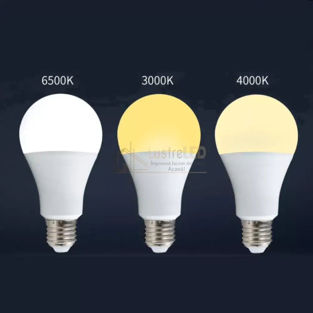 Bec Led E27 10W 3 Functii Glob Mat