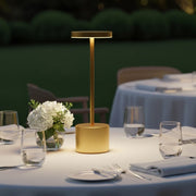 Veioza LED Decorativa Aurie 3 Tipuri de Lumina 34CM IP44