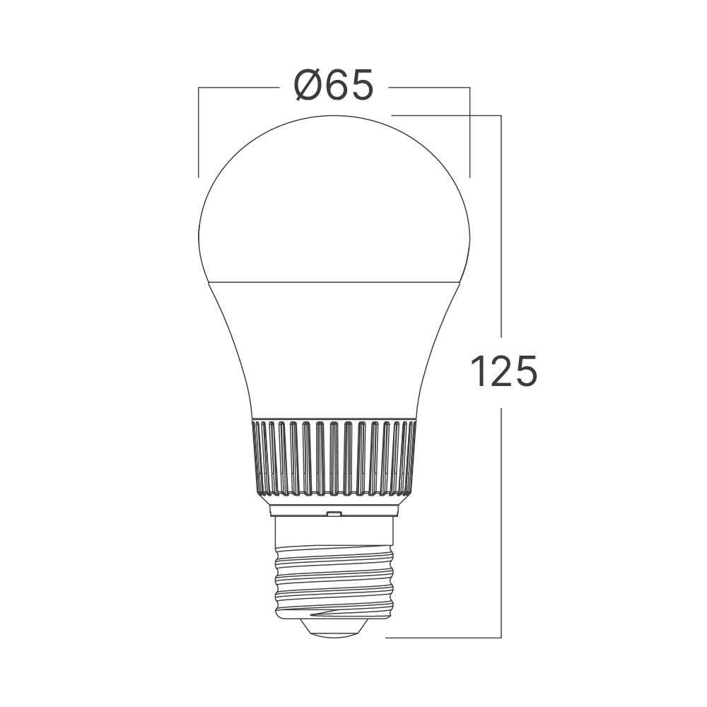 Bec LED E27 13,5W A65 Glob Mat LED BULB