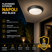 Plafoniera Exterior 1xE27 NAPOLI IP65 Black 5 Ani Garantie