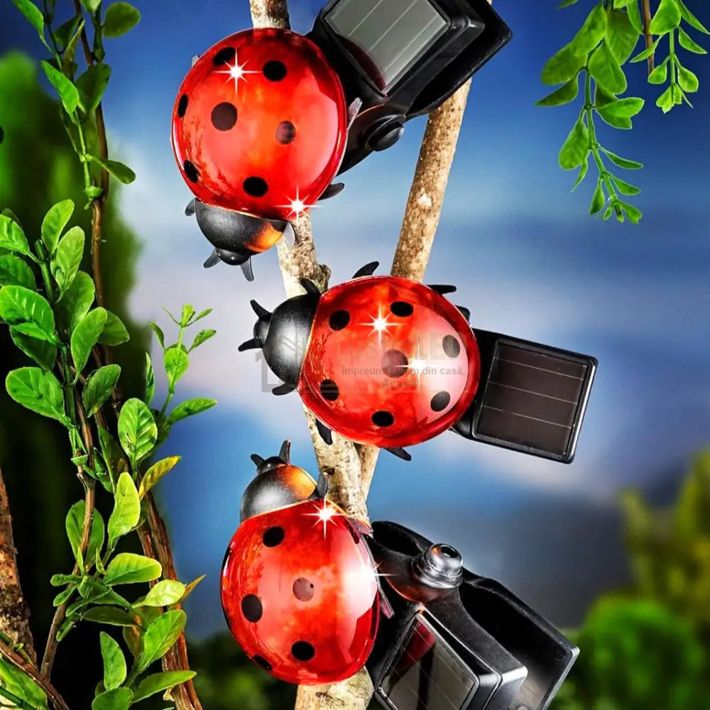 Gargarita Cu Incarcare Solara Ladybug Solar Lamp