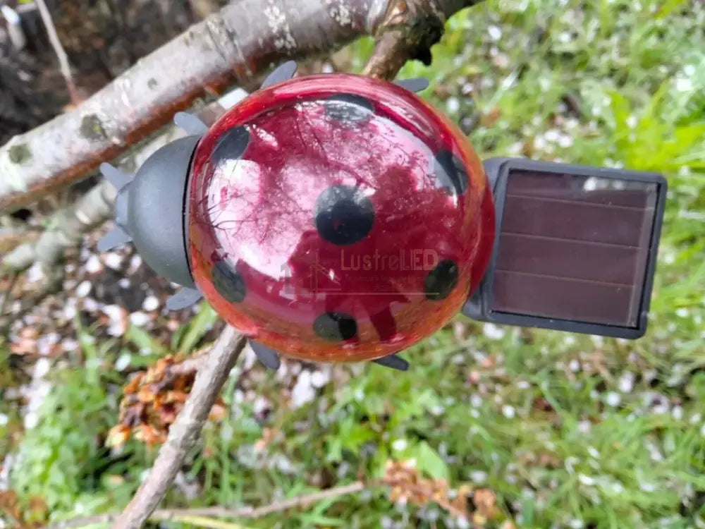Gargarita Cu Incarcare Solara Ladybug Solar Lamp