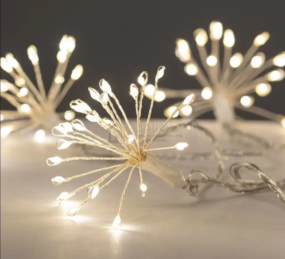 Ghirlanda Solara Sparkle Twig 4M 600Mah Solar Light Rope
