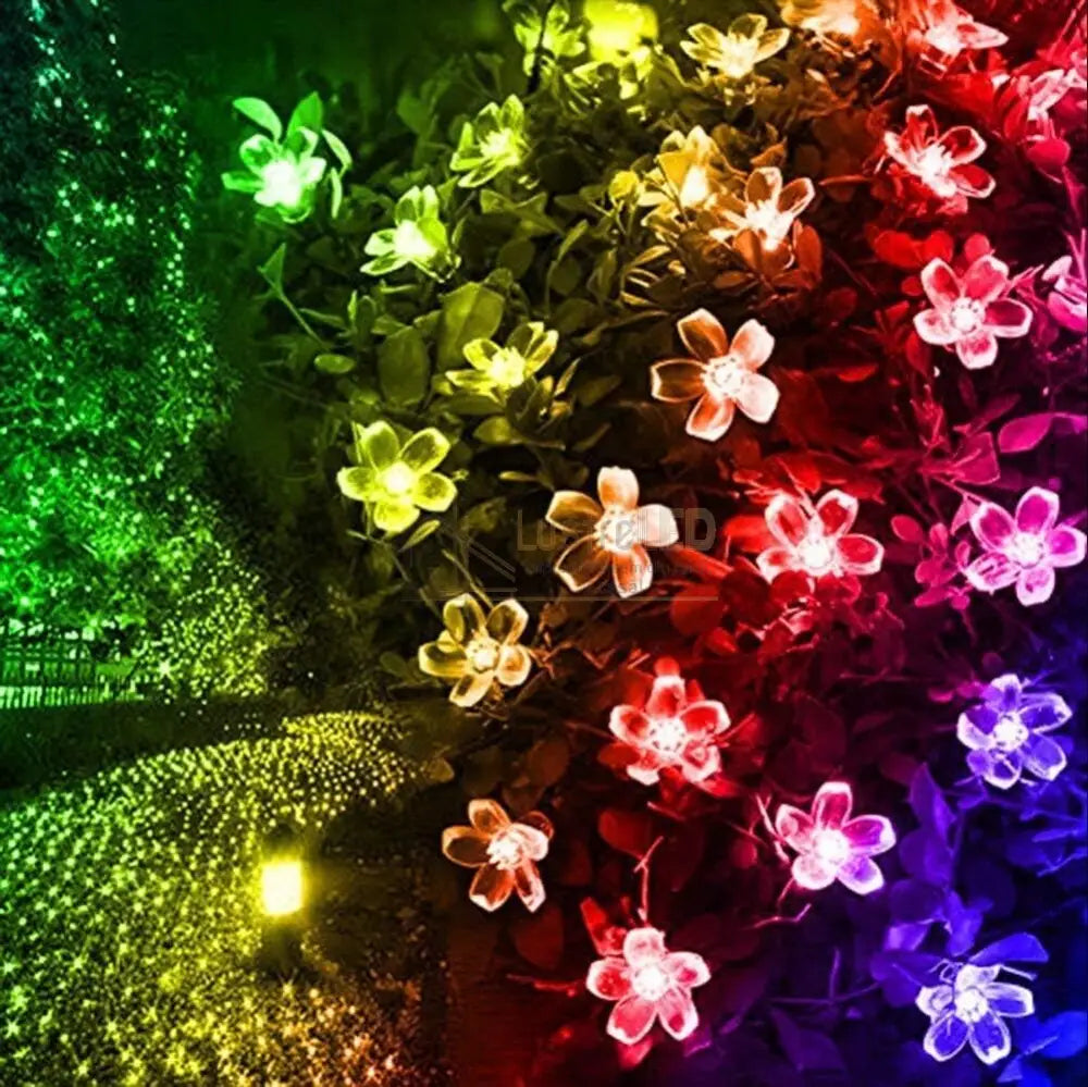 Instalatie Led Flowers Liniara Solara 50 Led-Uri 6.5M Christmas Lighting