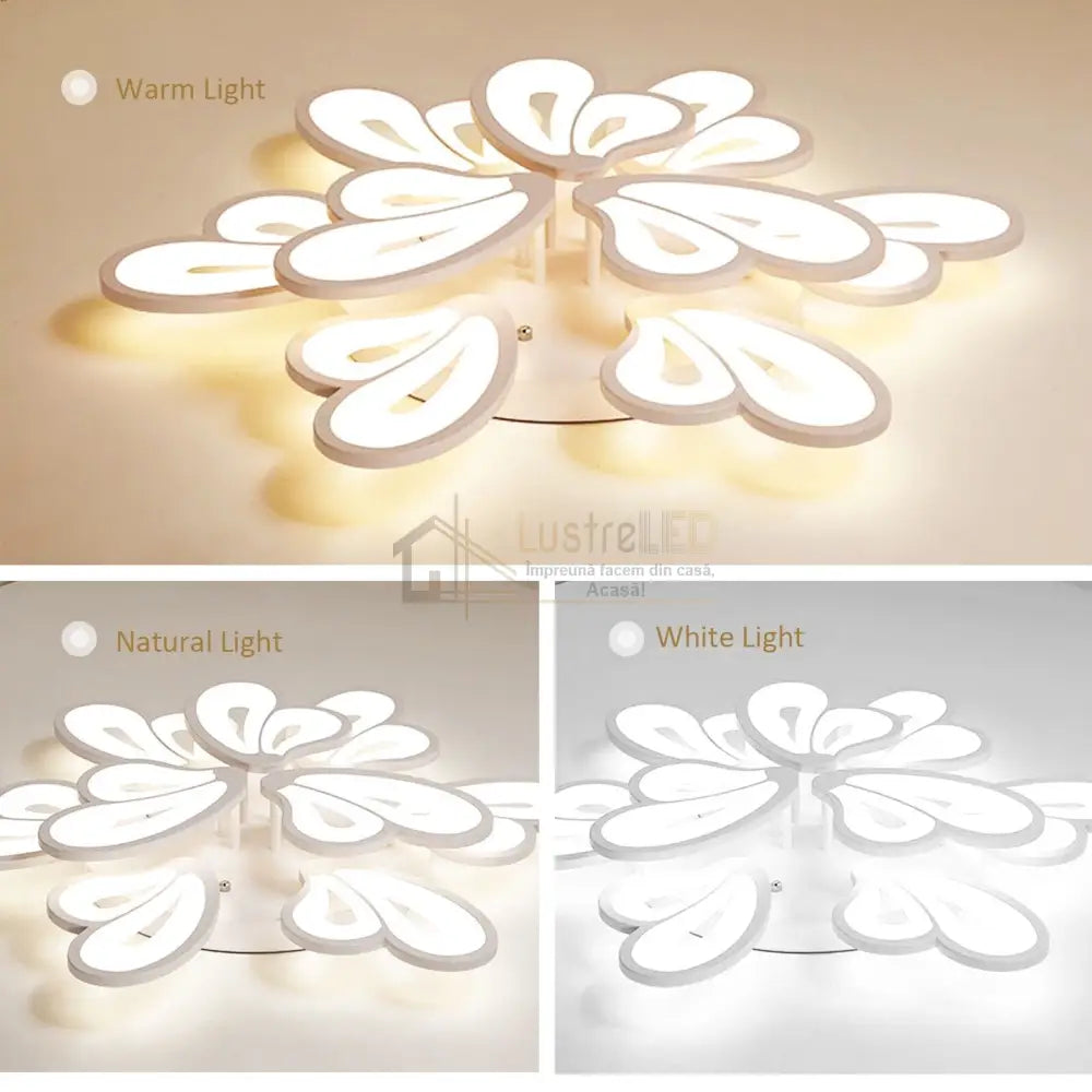 Lustra Led Clio Grande Telecomanda Echivalent 800W Lighting Fixtures