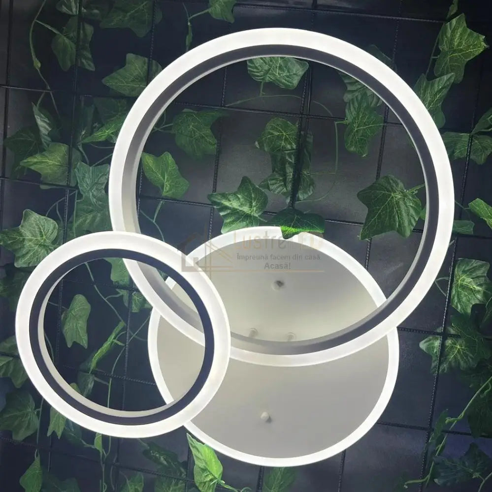 Lustra Led 88W Two Circle Design Telecomanda Echivalent 400W Lighting Fixtures