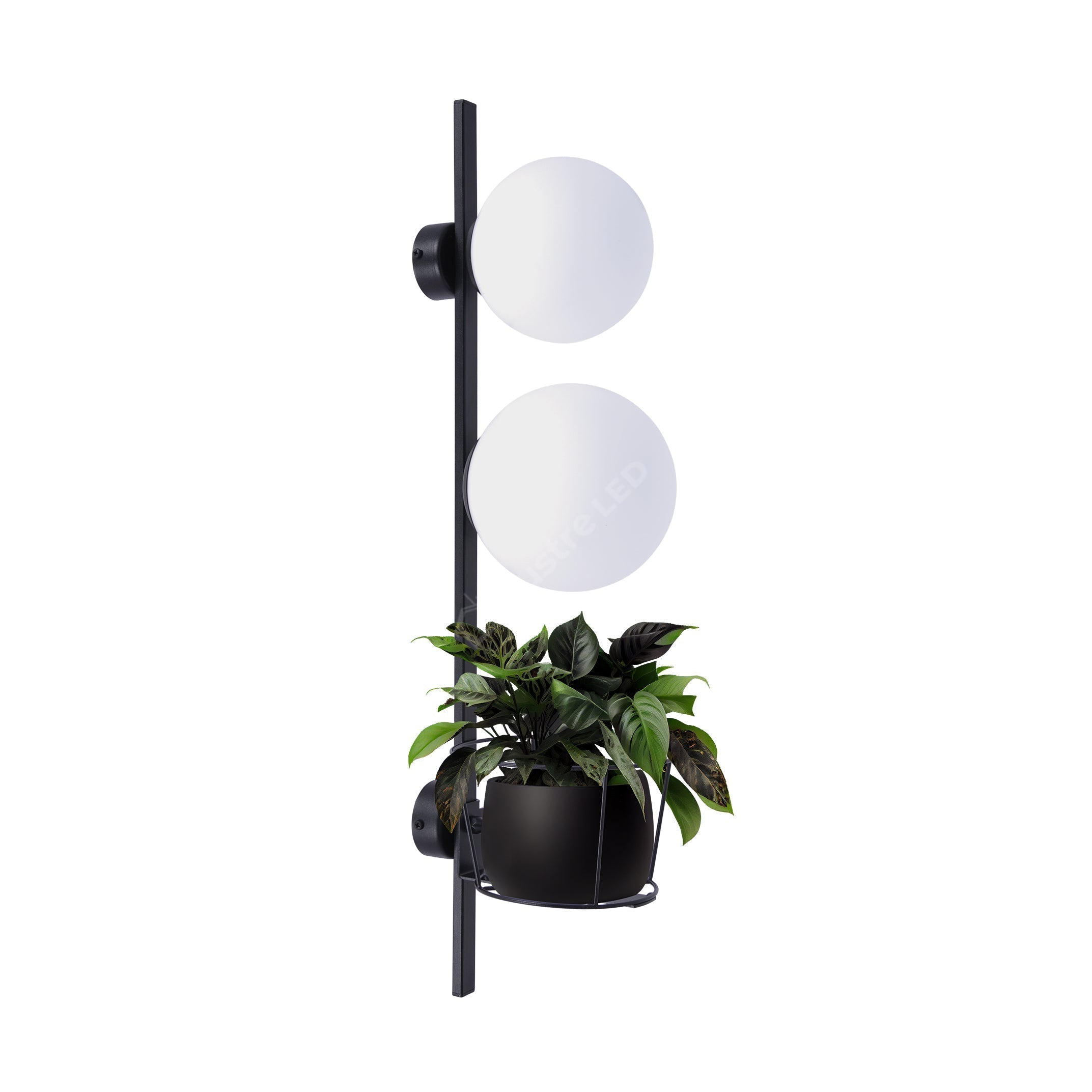 Aplica Black cu Abajur si Suport Ghiveci PLANT 2xE14/E27 70CM