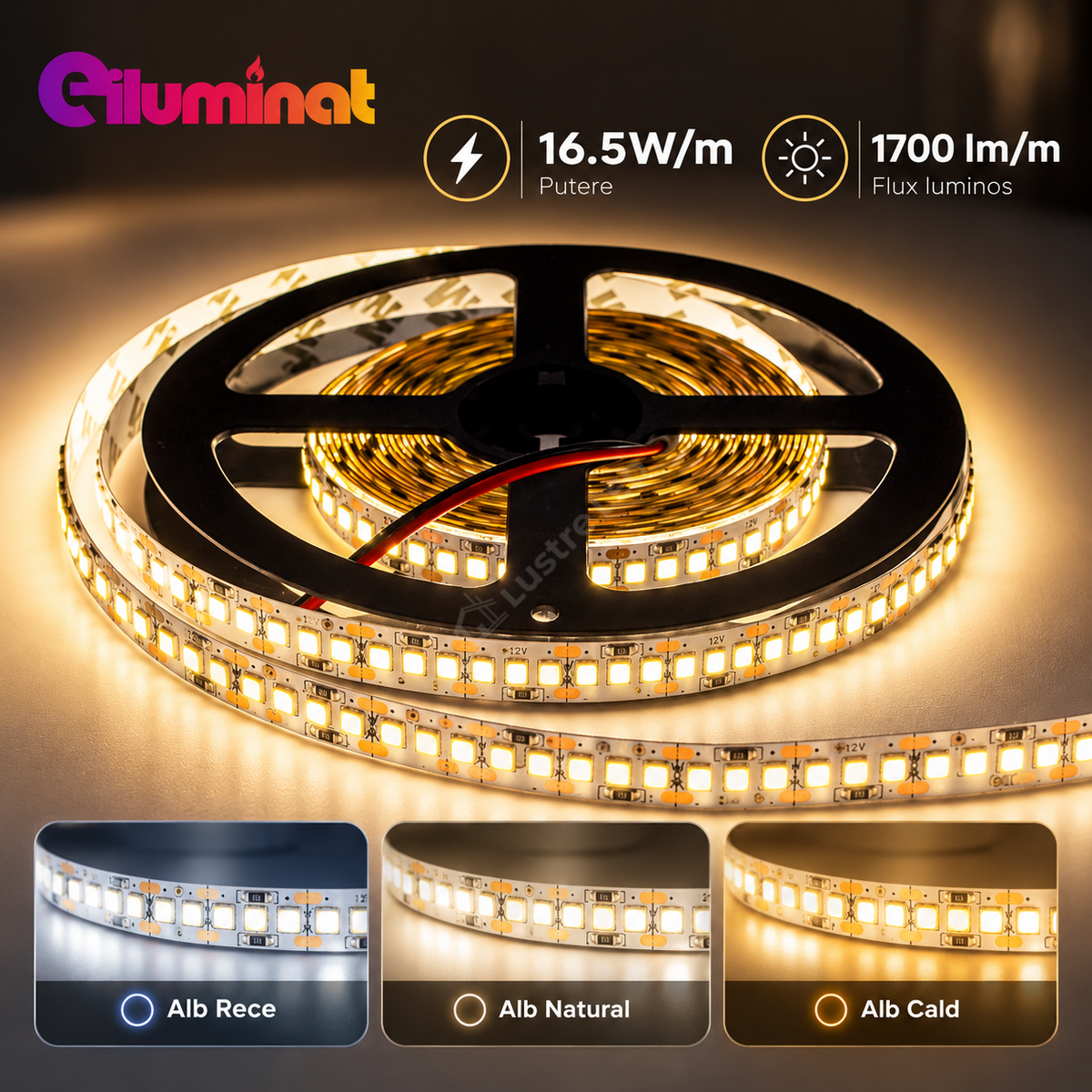 Banda LED 12V - 2835 204 SMD/ml IP20 - rola 5 metri