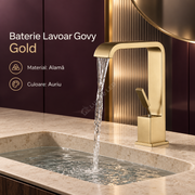 Baterie Lavoar Govy Gold