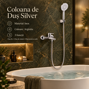 Coloana de Dus Inox Argintiu 3 Functii Clasic