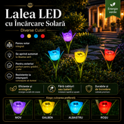 Lalea LED cu Incarcare Solara - Diverse Culori