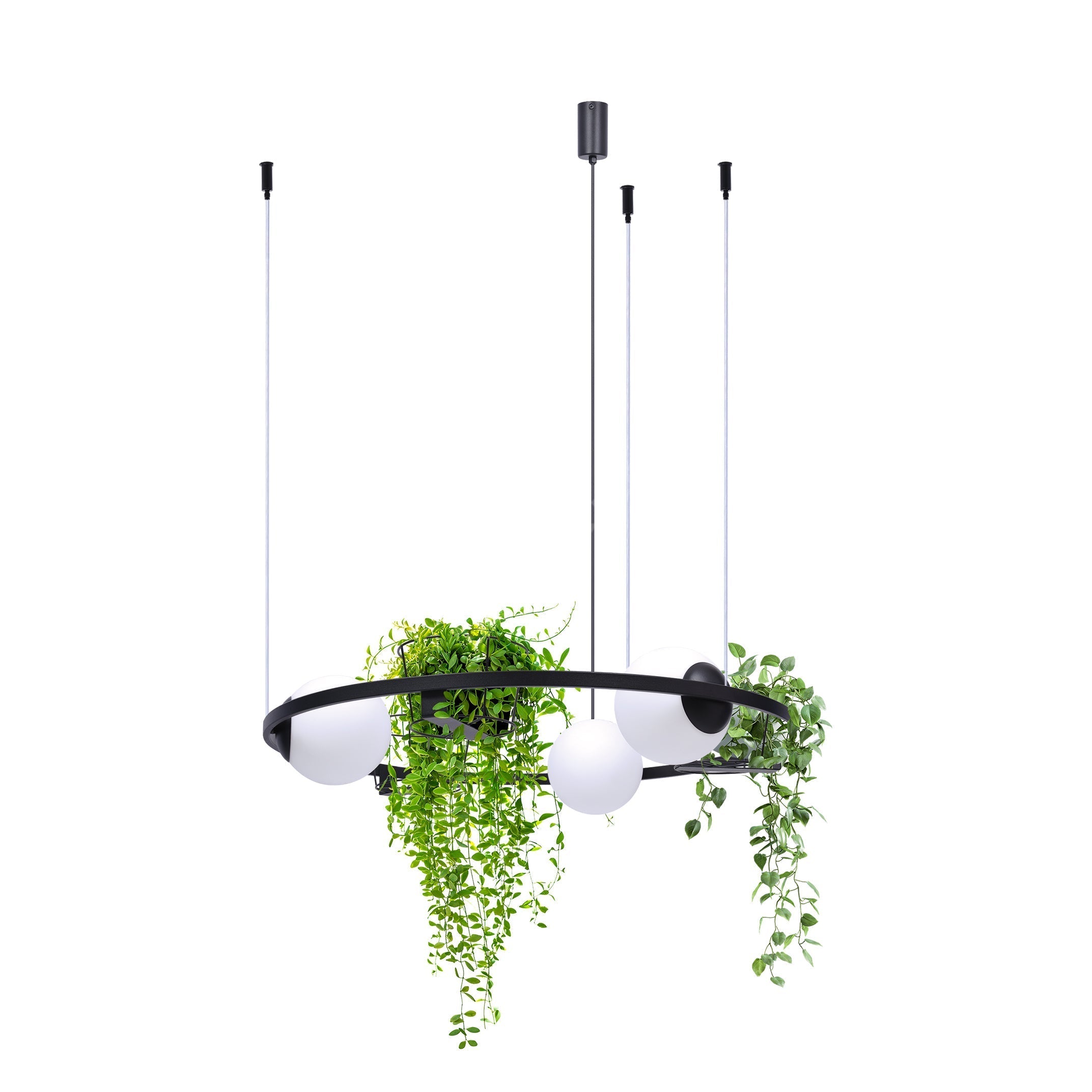 Lustra Suspendata PLANT Black Abajur si Suporturi Ghiveci 3xE27 78CM