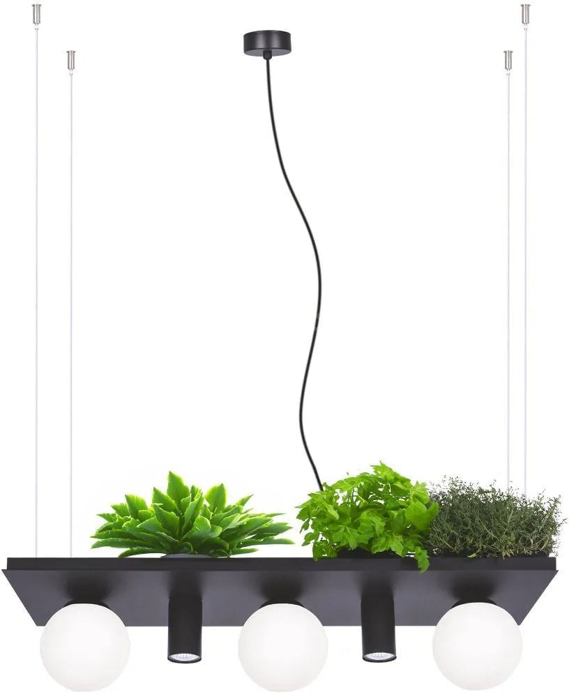 Lustra Suspendata PLANT SHELF Black Abajur 5xE14/GU10 80CM