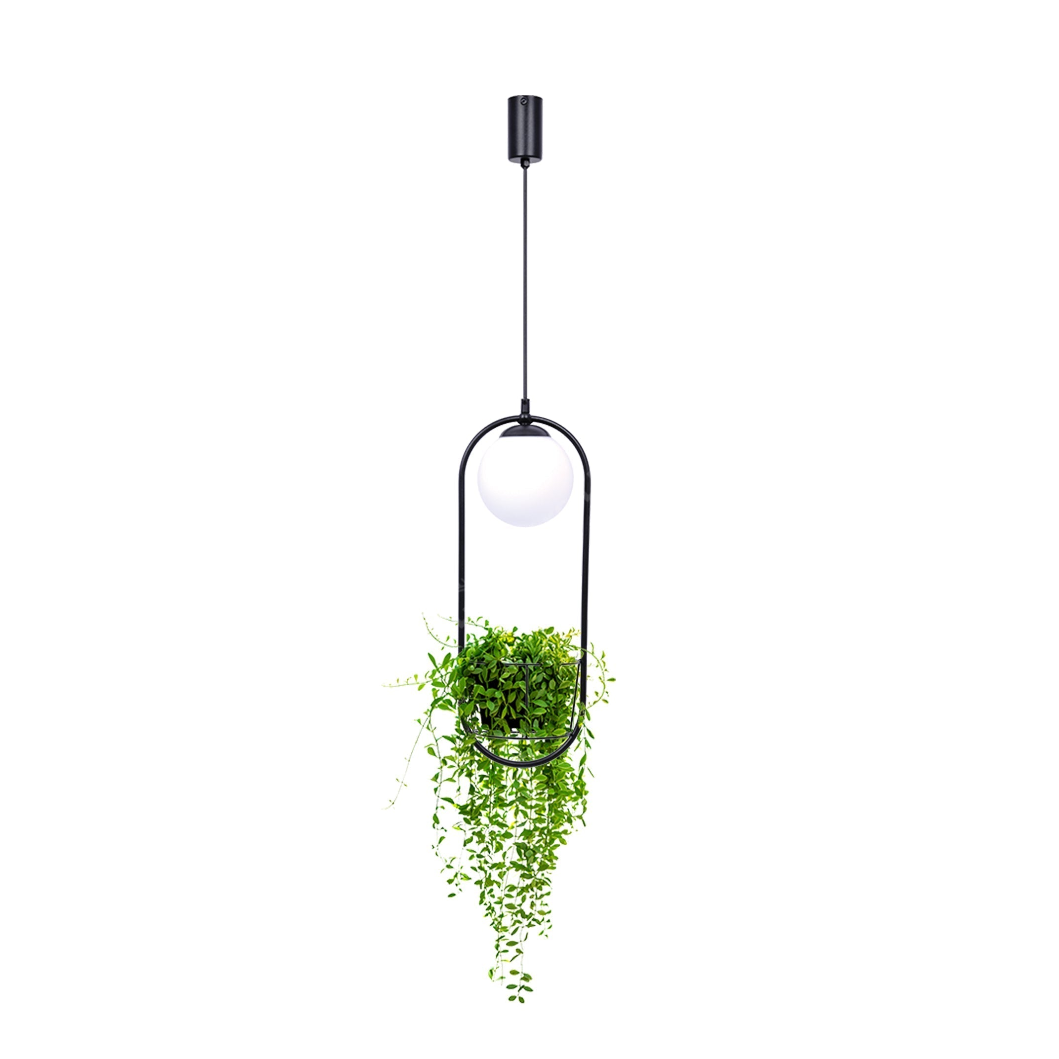 Pendul PLANT Black cu Abajur si Suport Ghiveci 1xE14 110CM