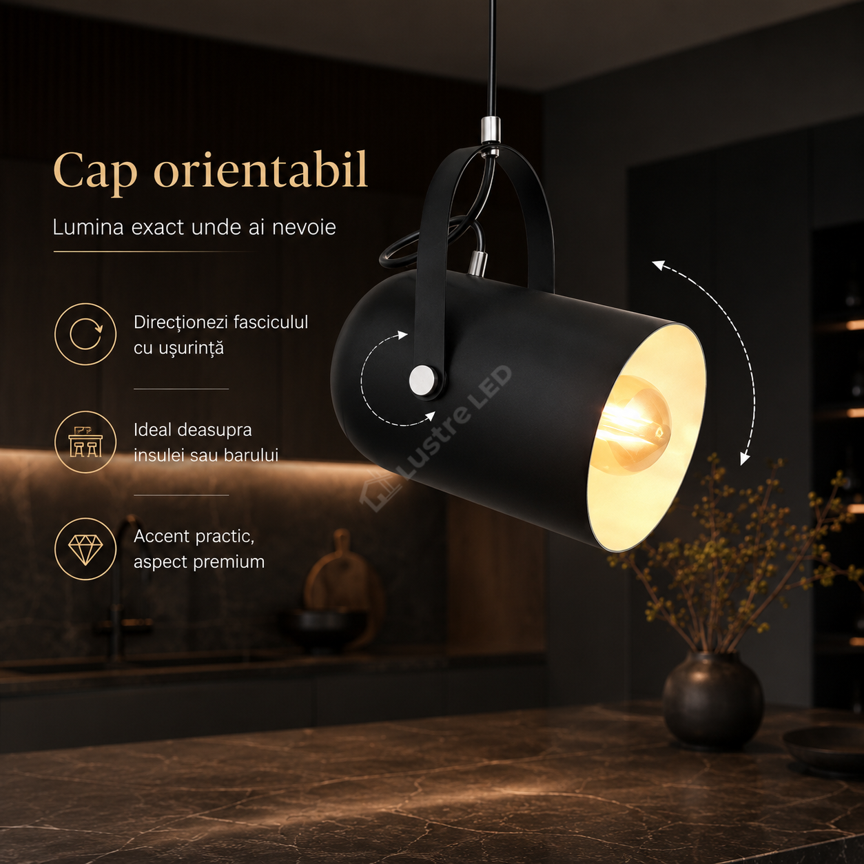 Pendul REFLEX Negru Tip Spot Orientabil 1xE27 120cm