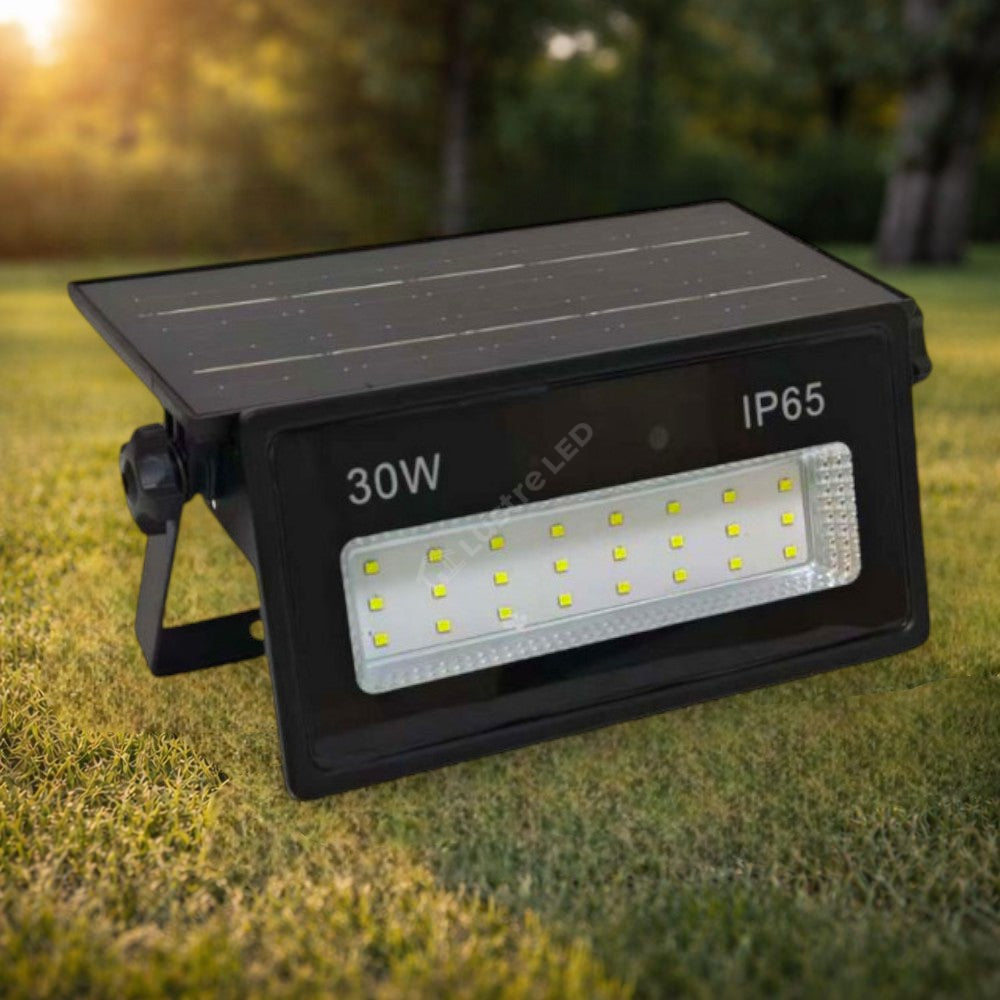 Proiector LED cu Panou Solar Atasat Reglabil 400lm, IP65, 6500K Telecomanda