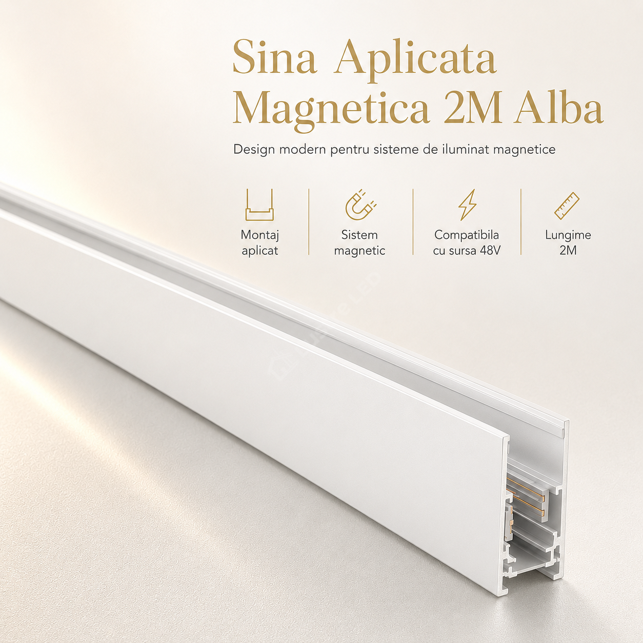 Sina Aplicata Magnetica 2M Alba