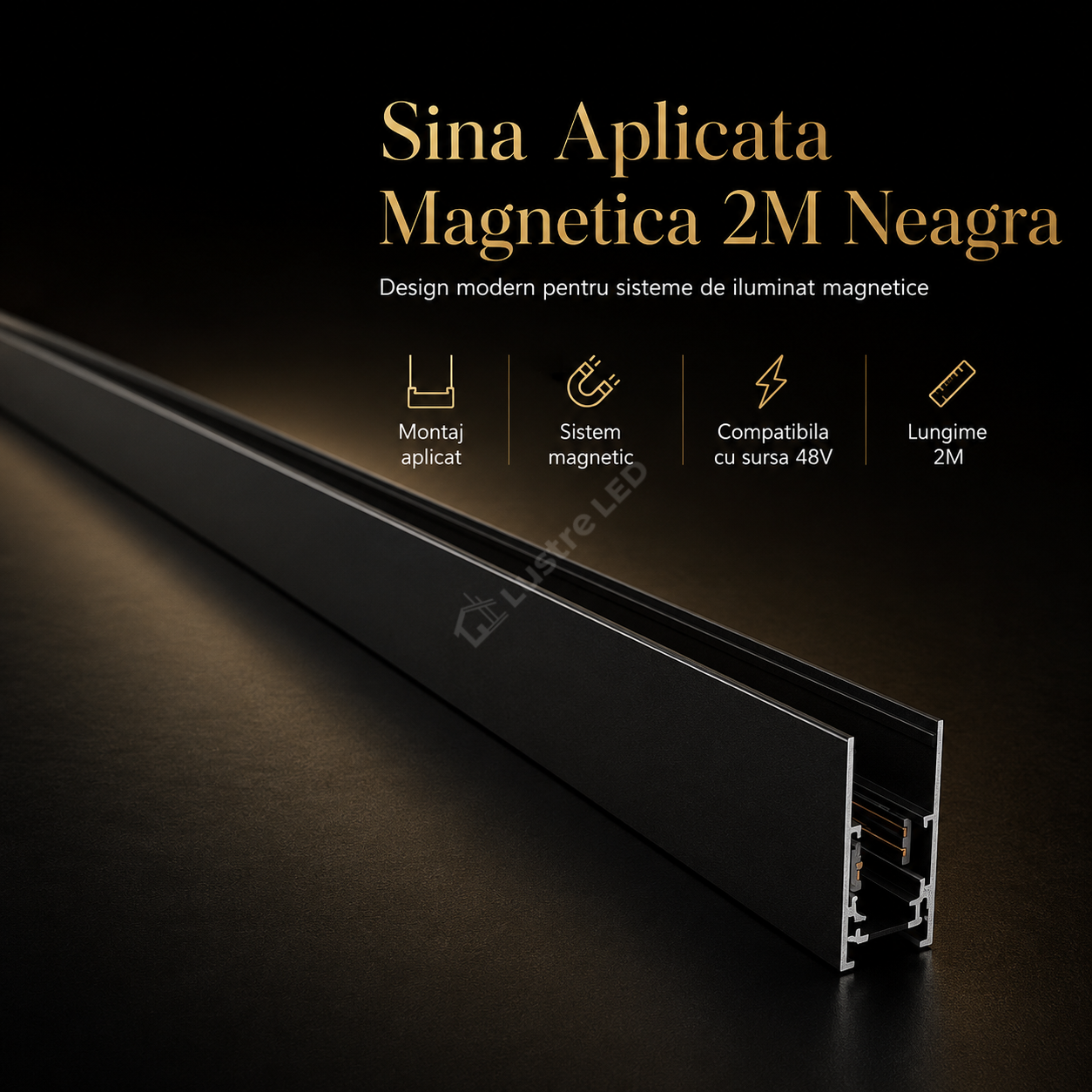 Sina Aplicata Magnetica 2M Neagra