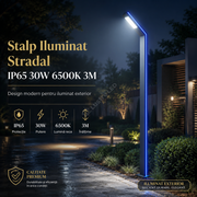 Stalp Iluminat Stradal IP65 30W 6500K 3M