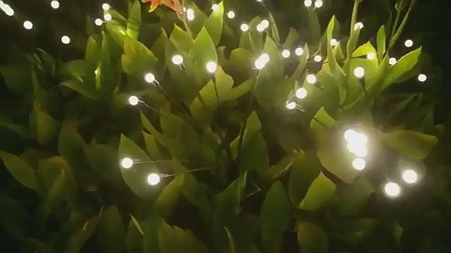 Încarcă videoclipul: Lampa LED Solara FireFlys - Set 2 buc