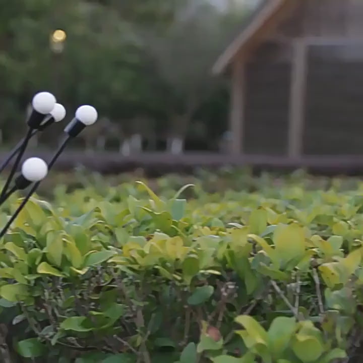 Încarcă videoclipul: Lampa LED Solara FireFlys - Set 2 buc