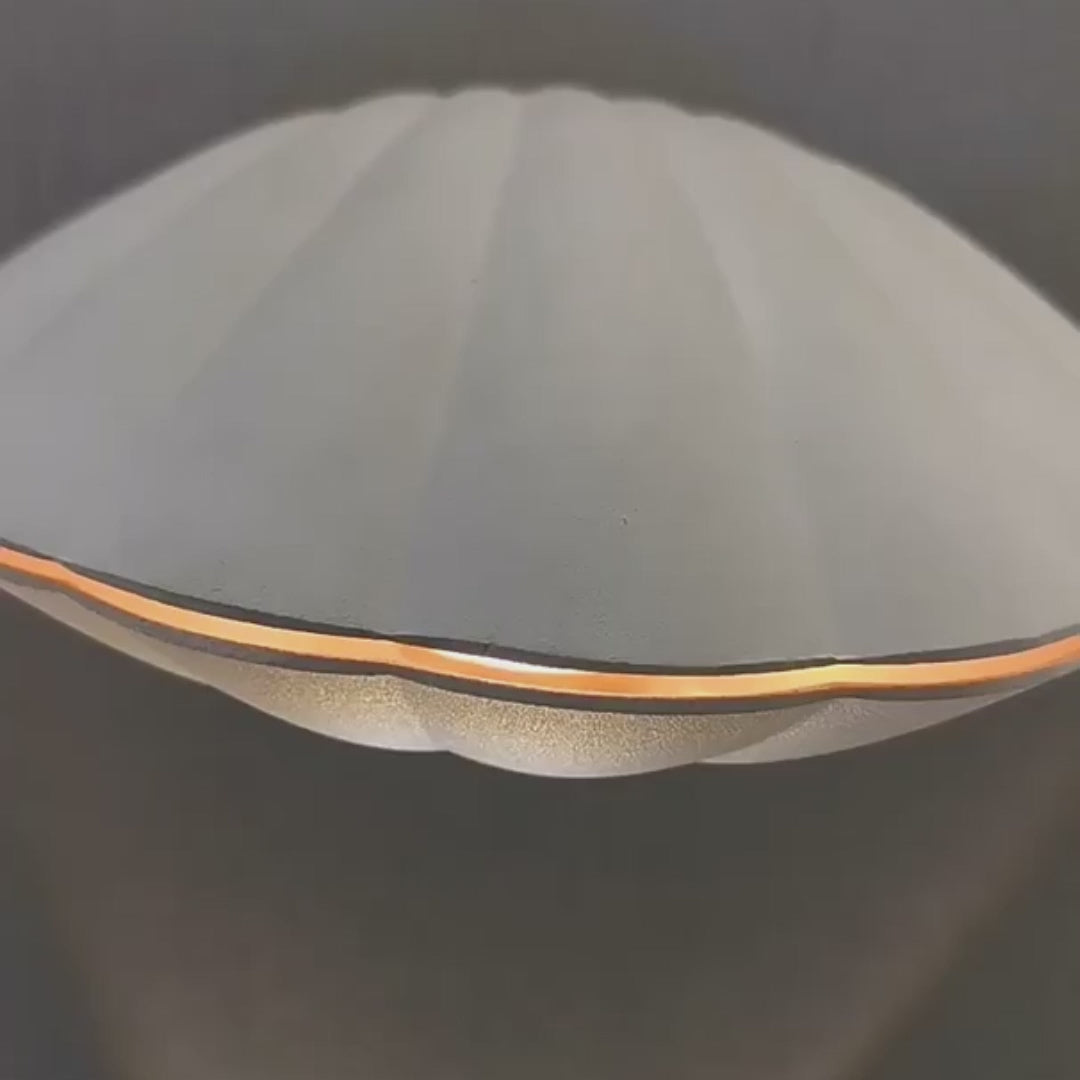 Încarcă videoclipul: Aplica LED 6W Oyster Exterior Alba