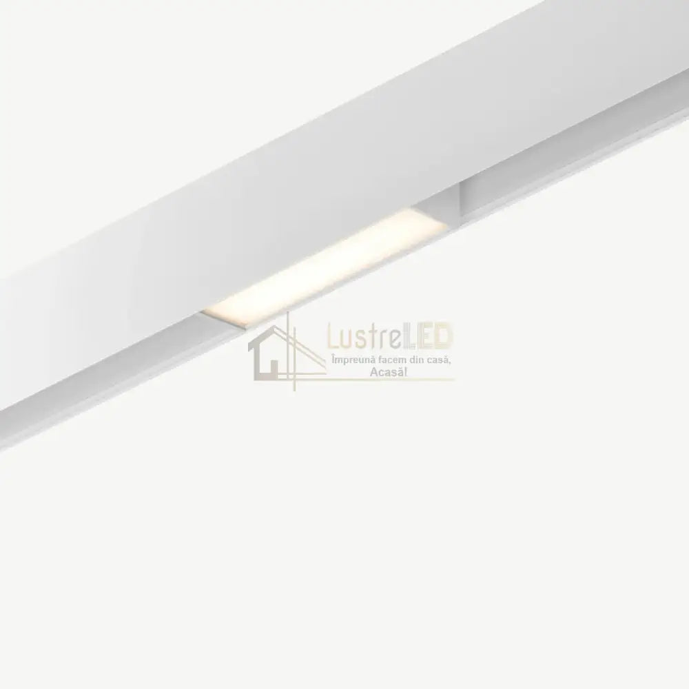 Sina Aplicata Magnetica 2M Alba lustreled.ro
