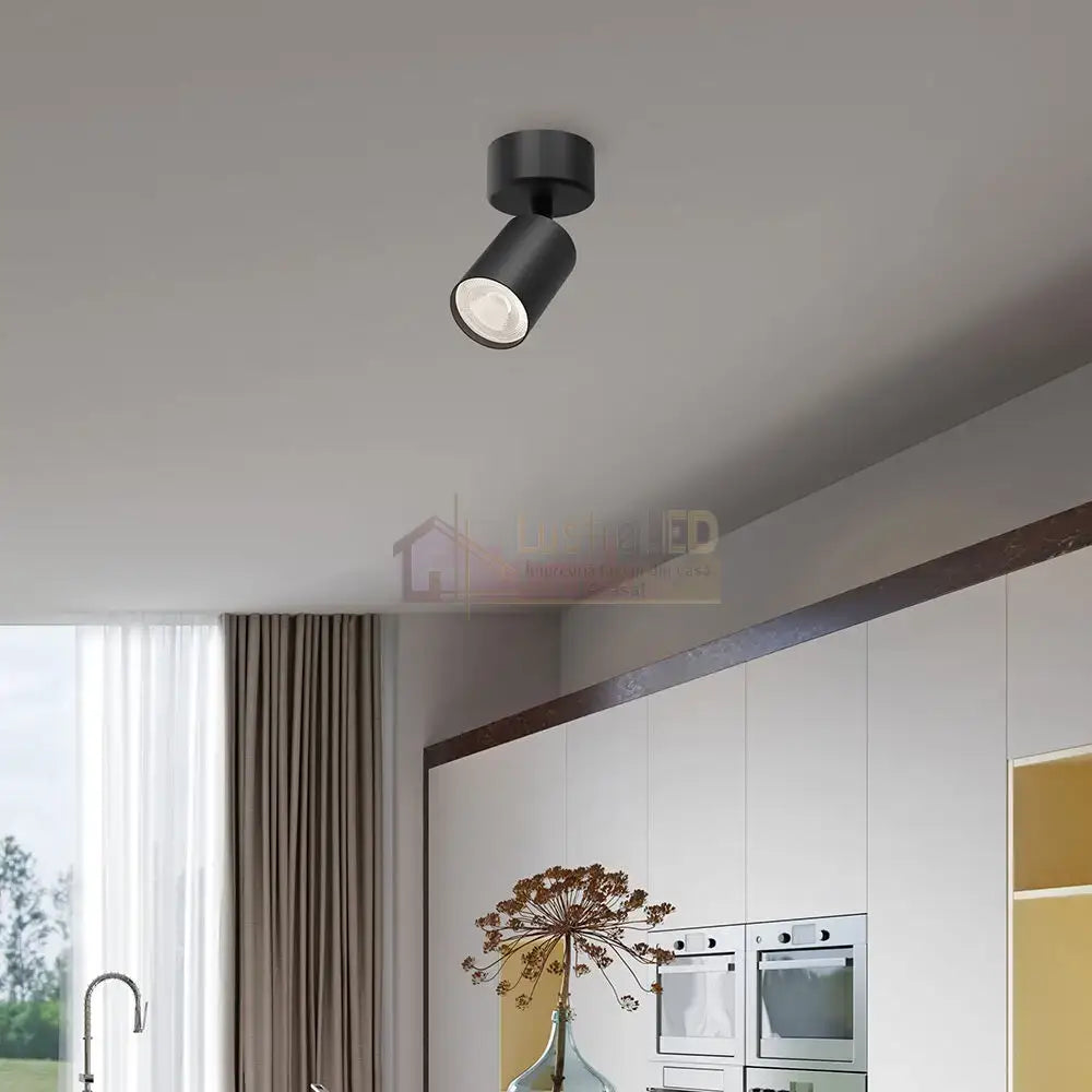 Spot Aplicat Orientabil Rotund Negru Dulie GU10 Ø60x130mm led ceiling light