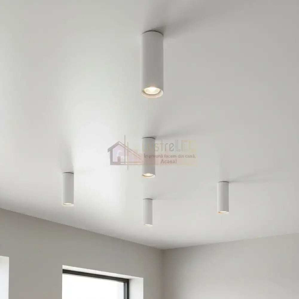 Spot Aplicat Rotund Alb Dulie GU10 Ø55x200mm led ceiling light