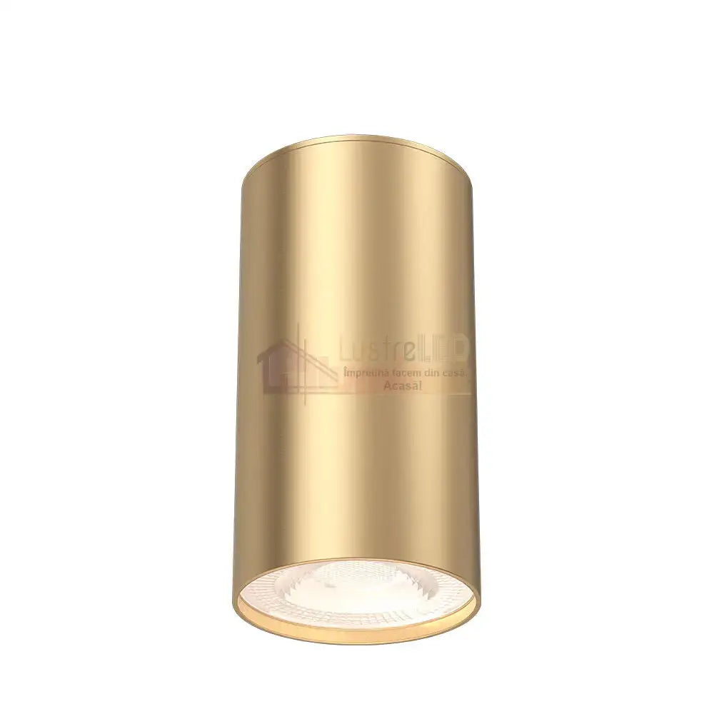 Spot Aplicat Rotund Auriu Dulie GU10 Ø55x102mm led ceiling light