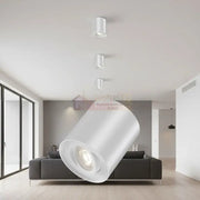 Spot Aplicat Rotund Fascicul Reglabil Alb Dulie GU10 Ø80x100mm led ceiling light