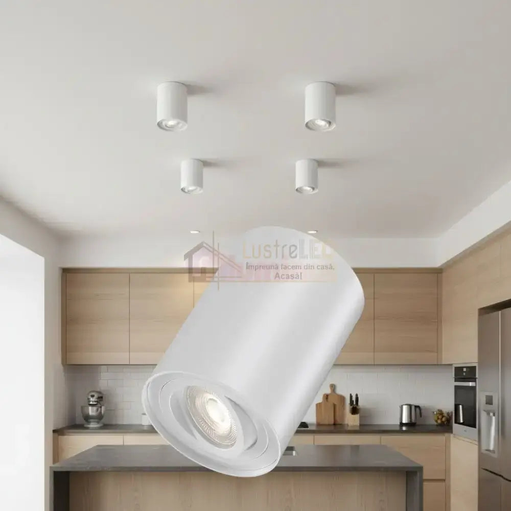Spot Aplicat Rotund Fascicul Reglabil Alb Dulie GU10 Ø94x125mm led ceiling light