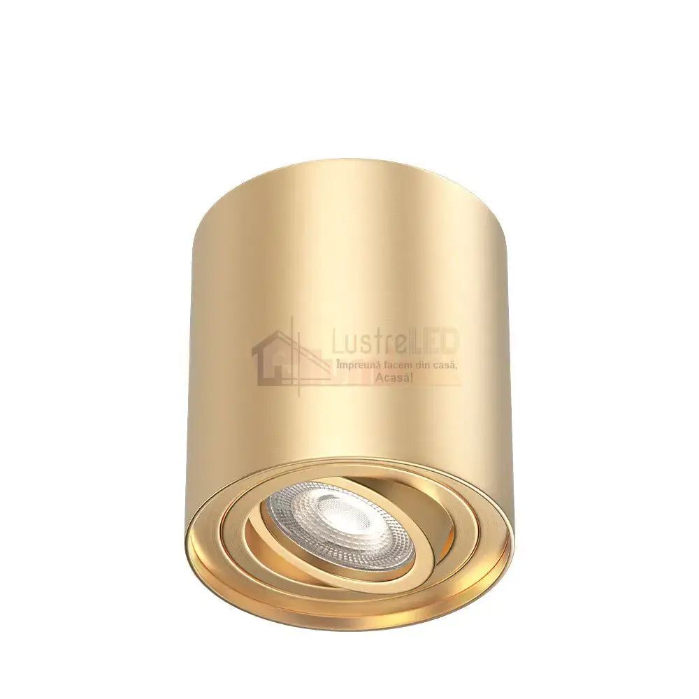 Spot Aplicat Rotund Fascicul Reglabil Auriu Dulie GU10 Ø80x100mm led ceiling light