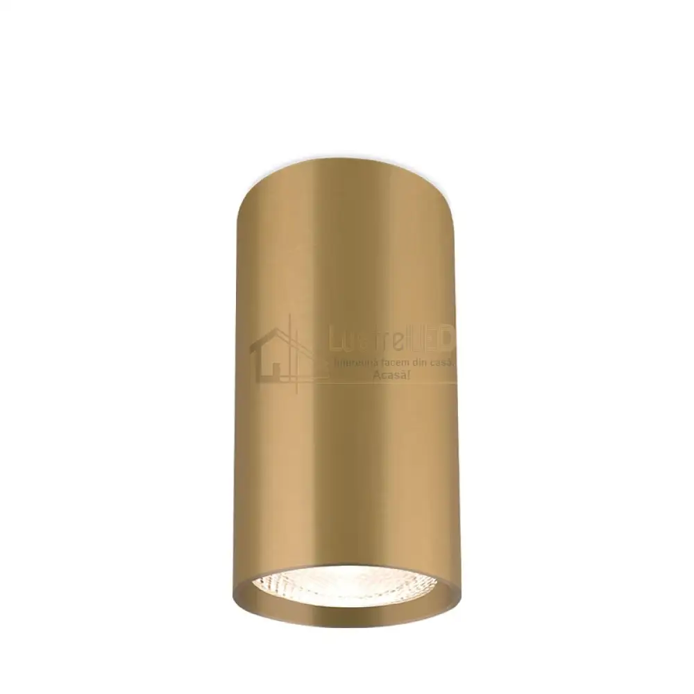Spot Cilindric Aplicat GAMA Gold 10cm lustreled.ro